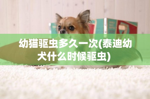 幼貓驅蟲多久一次(泰迪幼犬什么時候驅蟲) 