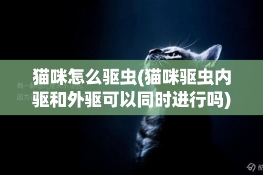 貓咪怎么驅蟲(貓咪驅蟲內驅和外驅可以同時進行嗎) 