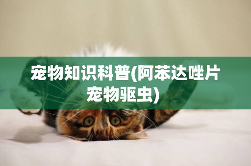 寵物知識科普(阿苯達唑片寵物驅蟲) 