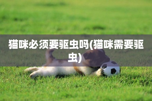 貓咪必須要驅蟲嗎(貓咪需要驅蟲) 