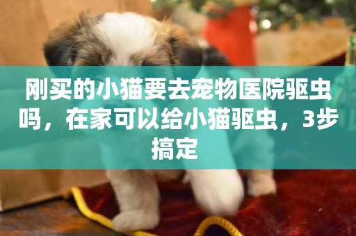 剛買的小貓要去寵物醫院驅蟲嗎，在家可以給小貓驅蟲，3步搞定 