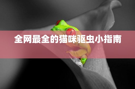 全網最全的貓咪驅蟲小指南 