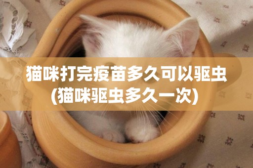 貓咪打完疫苗多久可以驅蟲(貓咪驅蟲多久一次) 