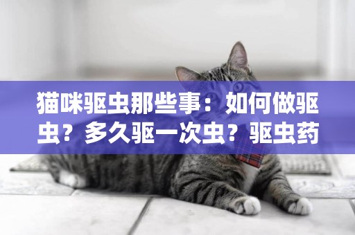 貓咪驅蟲那些事：如何做驅蟲？多久驅一次蟲？驅蟲藥到底怎么選？ 