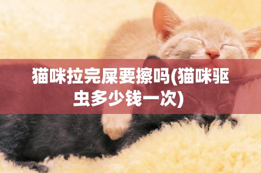 貓咪拉完屎要擦嗎(貓咪驅蟲多少錢一次) 