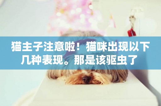 貓主子注意啦！貓咪出現以下幾種表現。那是該驅蟲了 