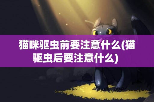貓咪驅蟲前要注意什么(貓驅蟲后要注意什么) 