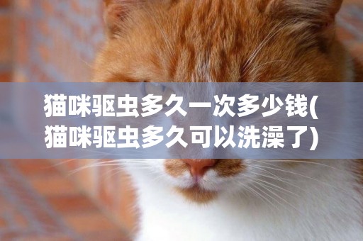貓咪驅蟲多久一次多少錢(貓咪驅蟲多久可以洗澡了) 