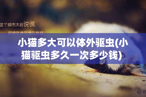 小貓多大可以體外驅蟲(小貓驅蟲多久一次多少錢) 