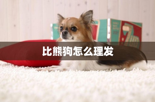 比熊狗怎么理發