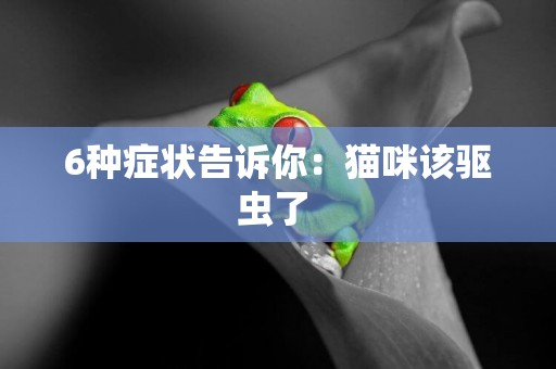 6種癥狀告訴你：貓咪該驅蟲了 