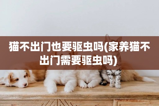 貓不出門也要驅蟲嗎(家養貓不出門需要驅蟲嗎) 