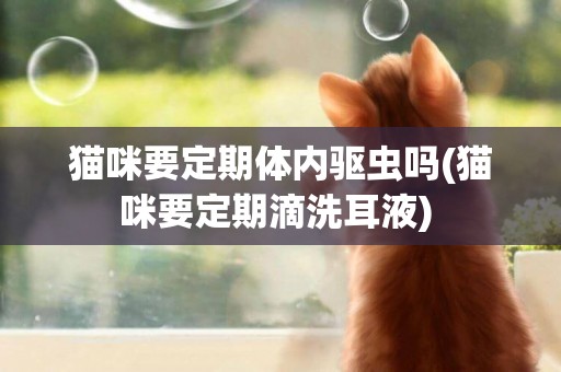 貓咪要定期體內驅蟲嗎(貓咪要定期滴洗耳液) 