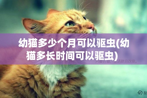 幼貓多少個月可以驅蟲(幼貓多長時間可以驅蟲) 