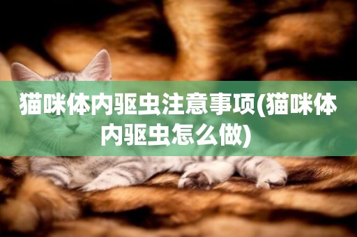 貓咪體內驅蟲注意事項(貓咪體內驅蟲怎么做) 