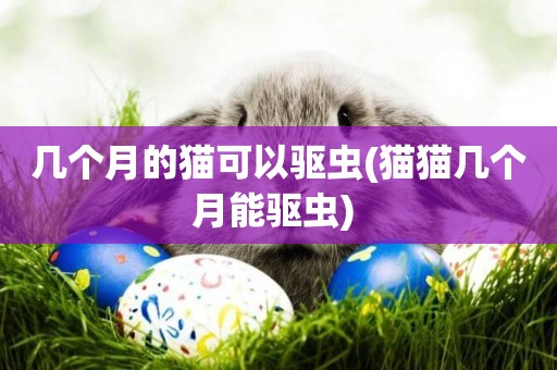 幾個月的貓可以驅蟲(貓貓幾個月能驅蟲) 