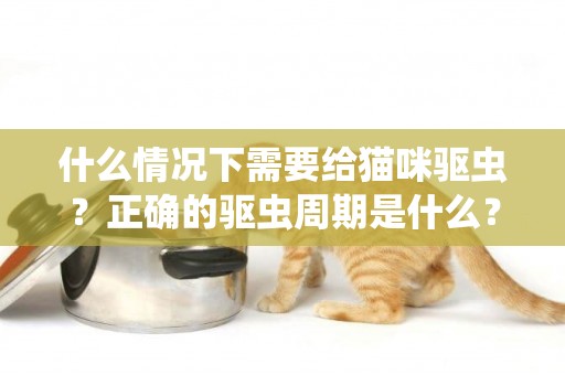 什么情況下需要給貓咪驅蟲？正確的驅蟲周期是什么？ 