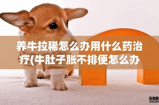 養牛拉稀怎么辦用什么藥治療(牛肚子脹不排便怎么辦) 