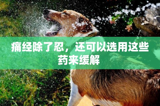 痛經除了忍，還可以選用這些藥來緩解 