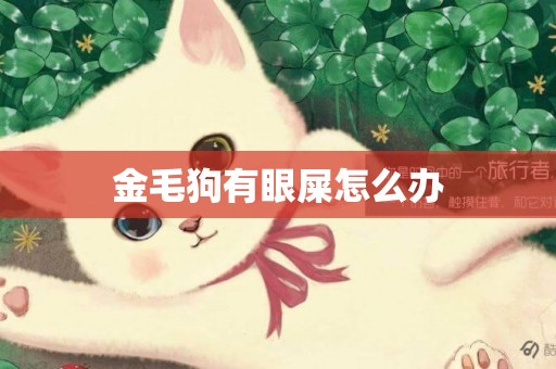 金毛狗有眼屎怎么辦