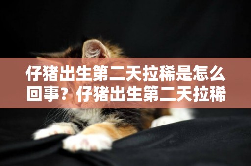 仔豬出生第二天拉稀是怎么回事？仔豬出生第二天拉稀用什么藥？ 