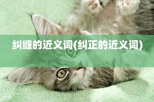 糾纏的近義詞(糾正的近義詞) 