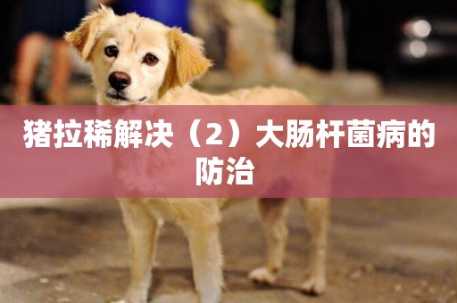 豬拉稀解決（2）大腸桿菌病的防治 