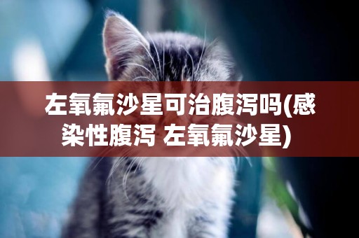 左氧氟沙星可治腹瀉嗎(感染性腹瀉 左氧氟沙星) 