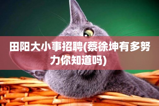 田陽大小事招聘(蔡徐坤有多努力你知道嗎) 