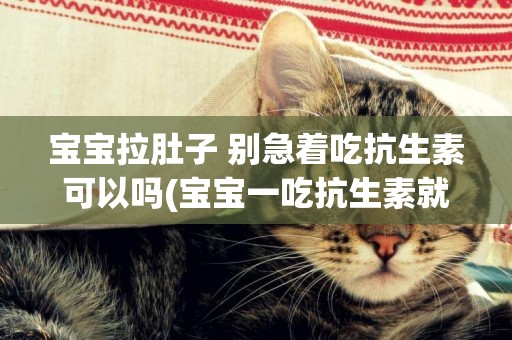 寶寶拉肚子 別急著吃抗生素可以嗎(寶寶一吃抗生素就拉肚子是怎么回事) 
