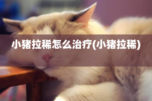 小豬拉稀怎么治療(小豬拉稀) 