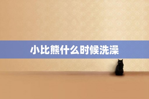 小比熊什么時候洗澡