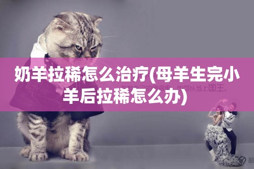 奶羊拉稀怎么治療(母羊生完小羊后拉稀怎么辦) 