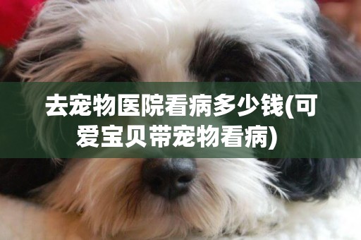 去寵物醫院看病多少錢(可愛寶貝帶寵物看病) 