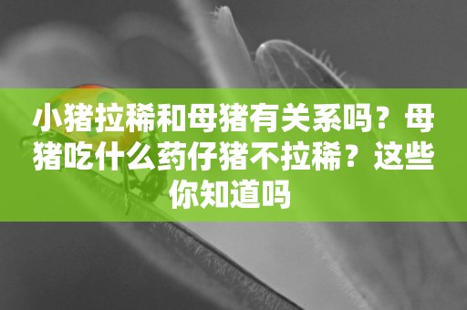 小豬拉稀和母豬有關系嗎？母豬吃什么藥仔豬不拉稀？這些你知道嗎 