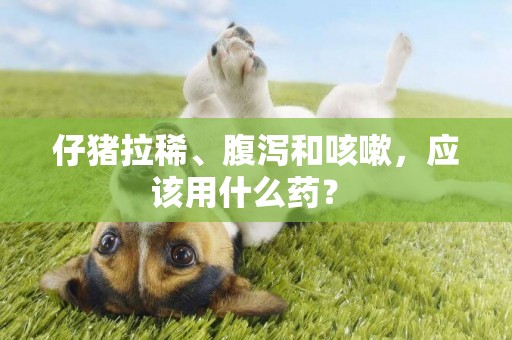 仔豬拉稀、腹瀉和咳嗽，應該用什么藥？ 