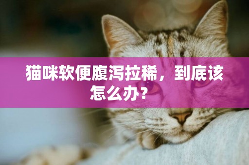 貓咪軟便腹瀉拉稀，到底該怎么辦？ 