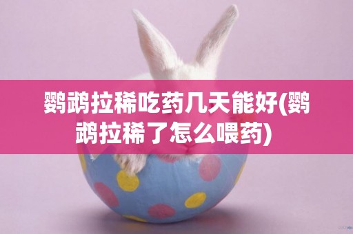 鸚鵡拉稀吃藥幾天能好(鸚鵡拉稀了怎么喂藥) 