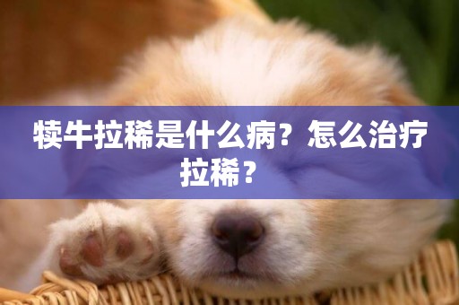 犢牛拉稀是什么病？怎么治療拉稀？ 