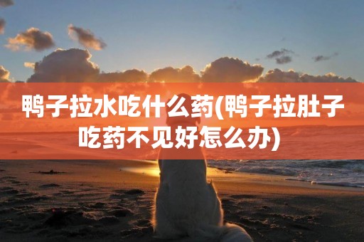 鴨子拉水吃什么藥(鴨子拉肚子吃藥不見好怎么辦) 