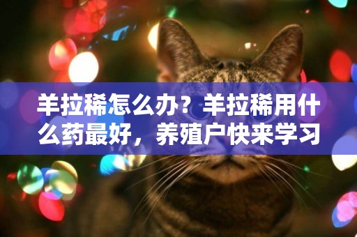 羊拉稀怎么辦？羊拉稀用什么藥最好，養殖戶快來學習 