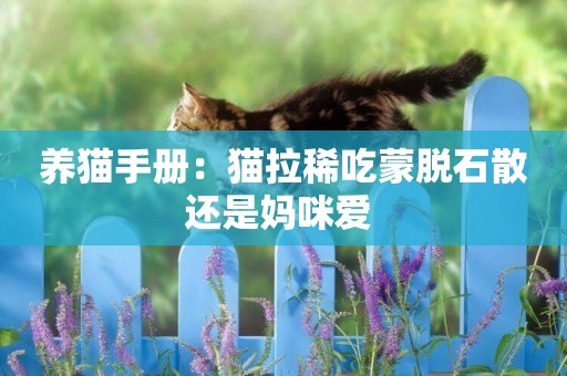 養貓手冊：貓拉稀吃蒙脫石散還是媽咪愛 