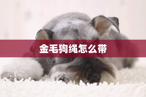 金毛狗繩怎么帶
