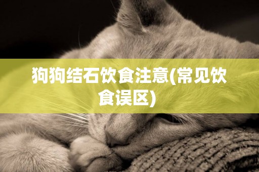狗狗結石飲食注意(常見飲食誤區) 