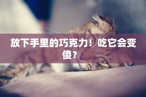 放下手里的巧克力！吃它會變傻？ 