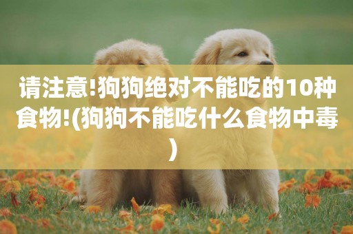 請注意!狗狗絕對不能吃的10種食物!(狗狗不能吃什么食物中毒) 