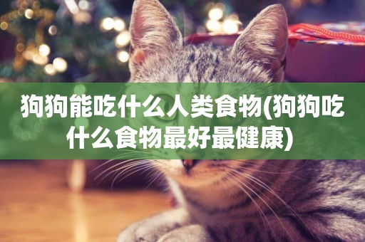 狗狗能吃什么人類食物(狗狗吃什么食物最好最健康) 
