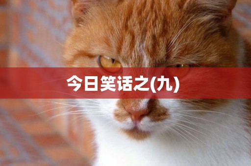 今日笑話之(九) 