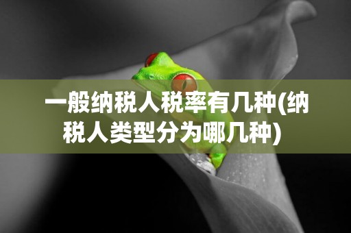 一般納稅人稅率有幾種(納稅人類型分為哪幾種) 