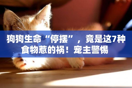 狗狗生命“停擺”，竟是這7種食物惹的禍！寵主警惕 